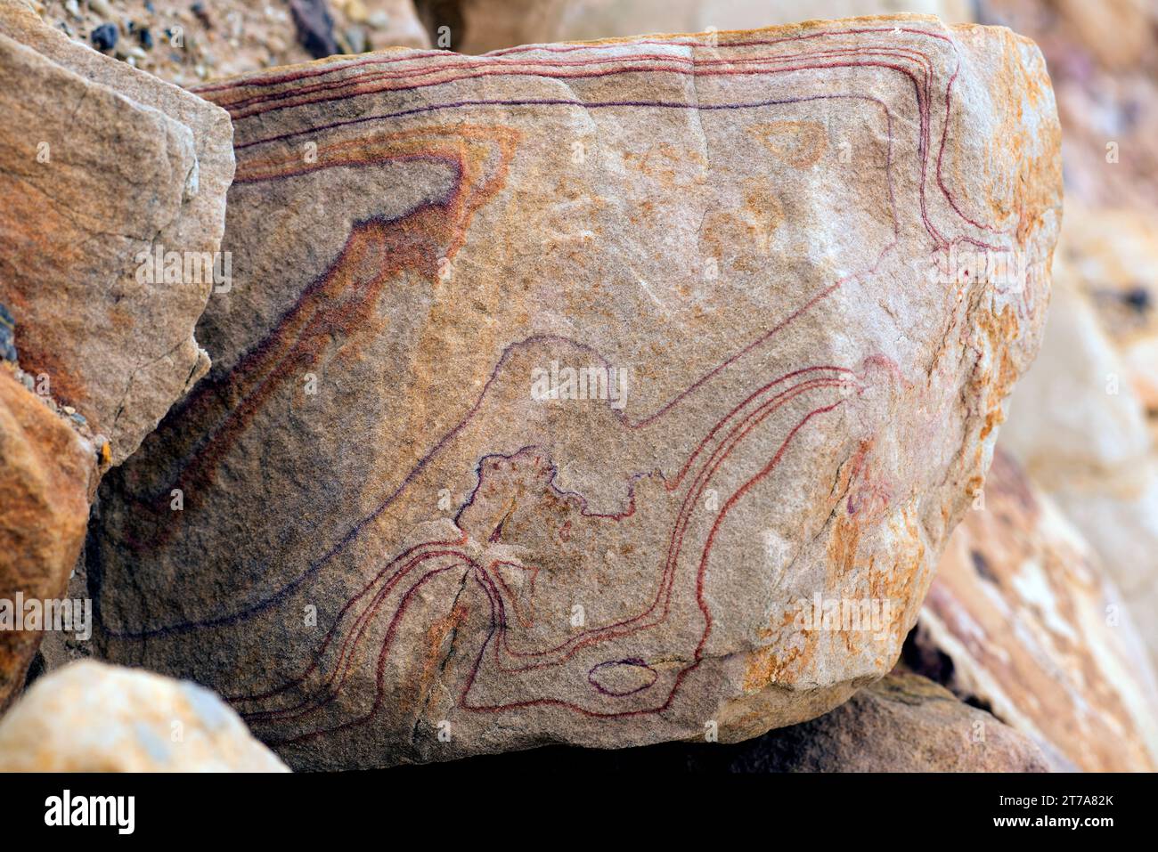 Arenaria colorata. L'arenaria è una roccia sedimentaria clastica composta da grani di quarzo. Questa foto è stata scattata nel Mar morto, in Giordania. Foto Stock