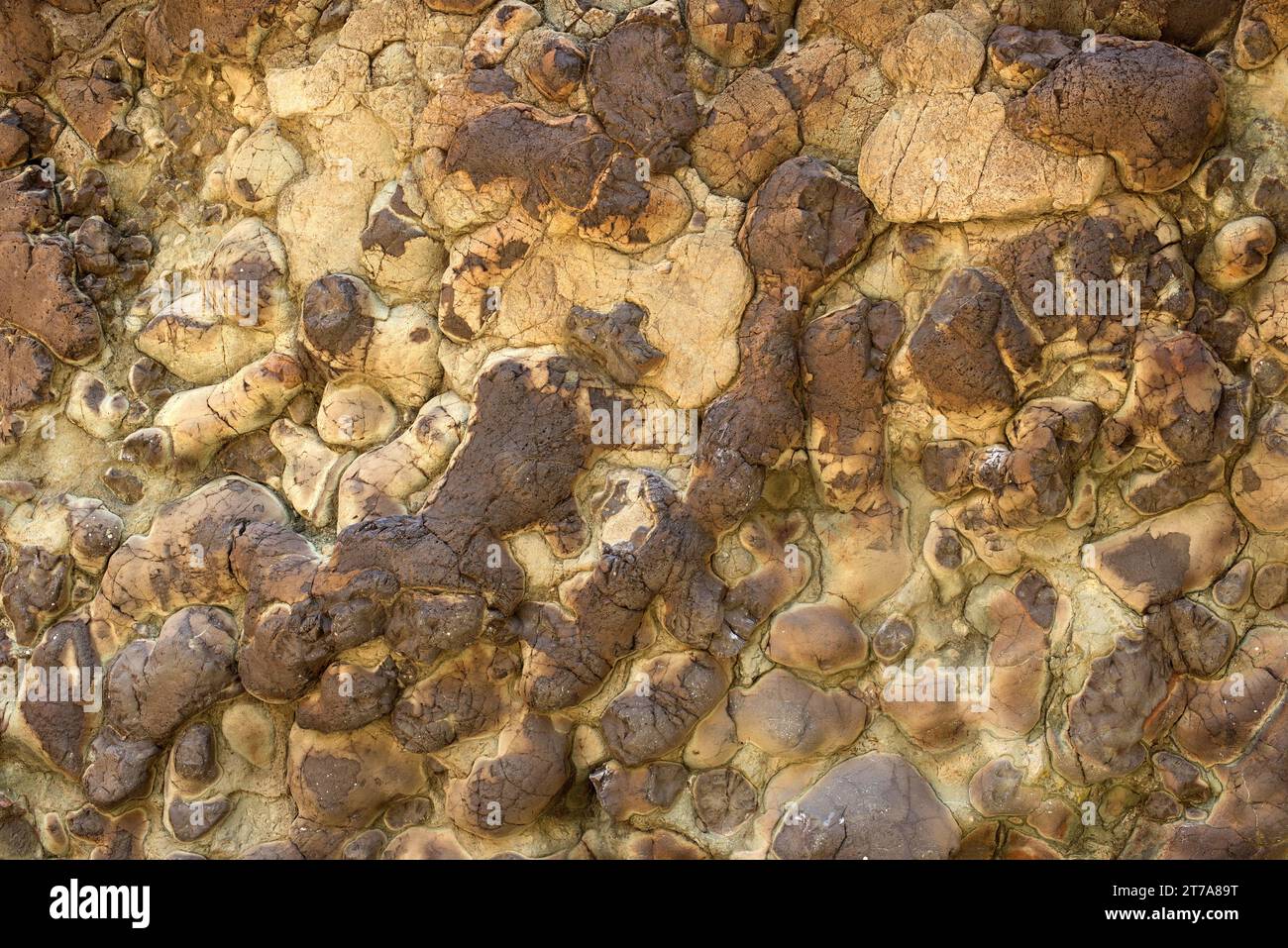 Pillow lava è una roccia vulcanica con struttura a forma di cuscino formata sott'acqua. Questa foto è stata scattata a Barranco de las Angustias, isola di la Palma, CAN Foto Stock