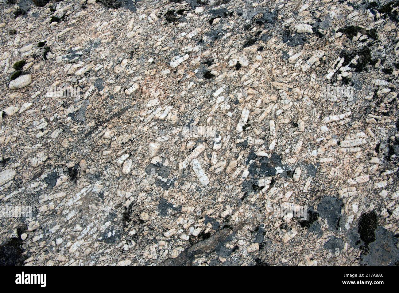 Il porfido di granito è una roccia ignea con bigs cristalli di feldspato. Questa foto è stata scattata a Sao Joao, Miranda do Douro, Portogallo. Foto Stock