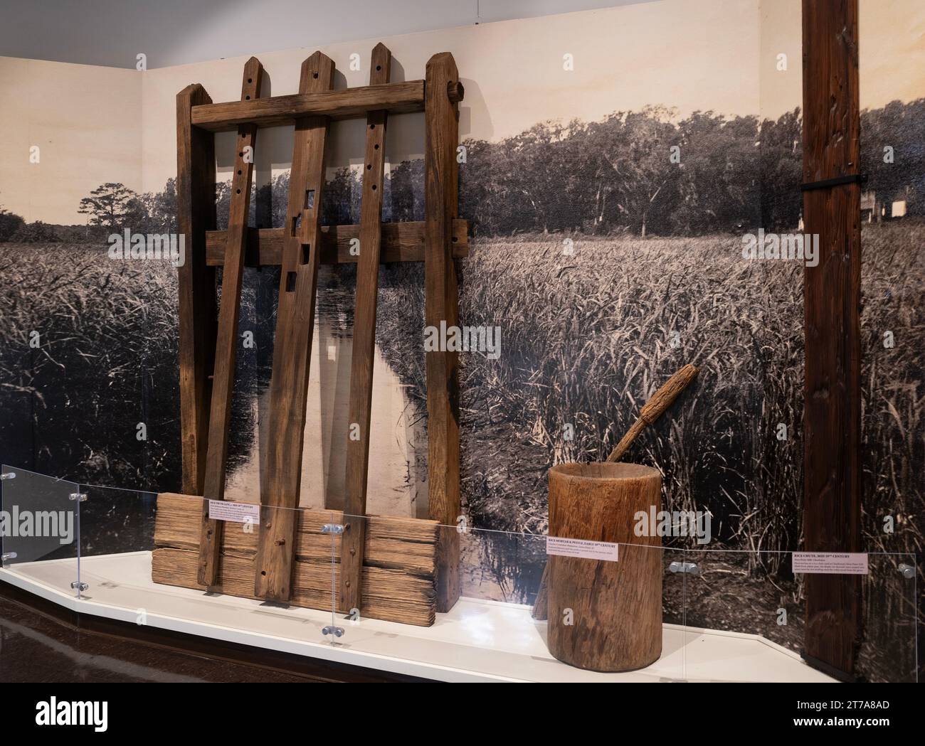 Mostra di tronchi di riso nel Charleston Museum di Charleston, Carolina del Sud Foto Stock