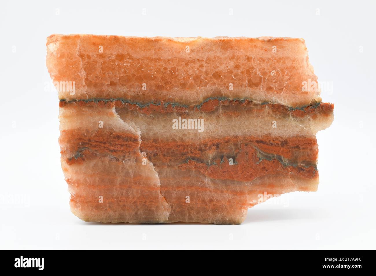 Halite (bianco), silvine (arancione) e argilla (grigio). La Halite è un cloruro di sodio e la silvina è un minerale di cloruro di potassio. Questo esempio viene da Car Foto Stock