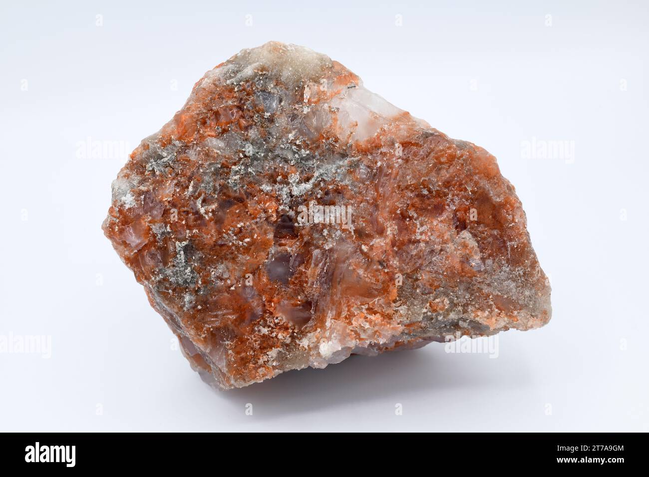 La polihalite è un minerale di potassio magnesio solfato di calcio con inclusioni di ossido di ferro. Questo campione proviene da Cardona, Barcellona, Catalogna, Spagna. Foto Stock