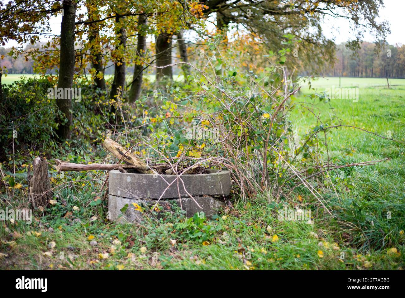 Ein alter defekter Viehbrunnen in der Nähe einer Weide Foto Stock