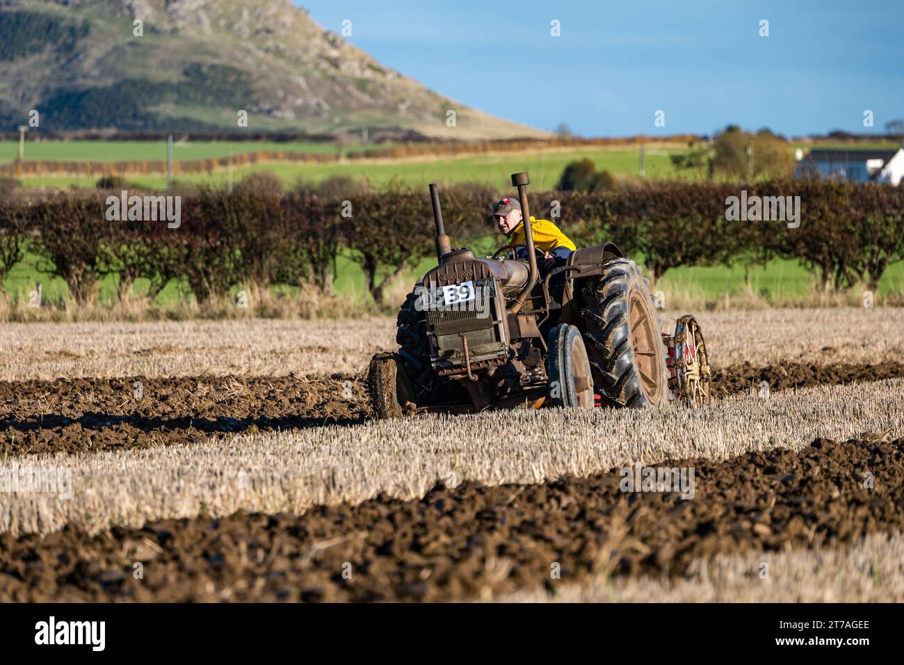 Trattore Fordson d'epoca che ara i solchi nella partita di aratura, East Lothian, Scozia, Regno Unito Foto Stock