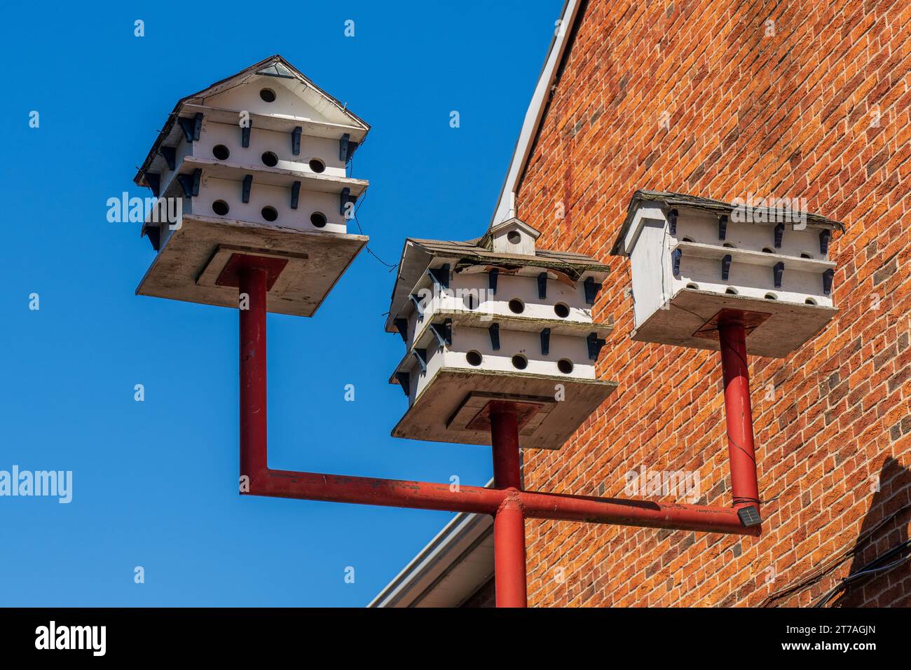 Case per uccelli a più piani su un palo accanto a una casa in mattoni rossi i Martini viola nidificano nelle colonie e preferiscono case con più stanze Foto Stock