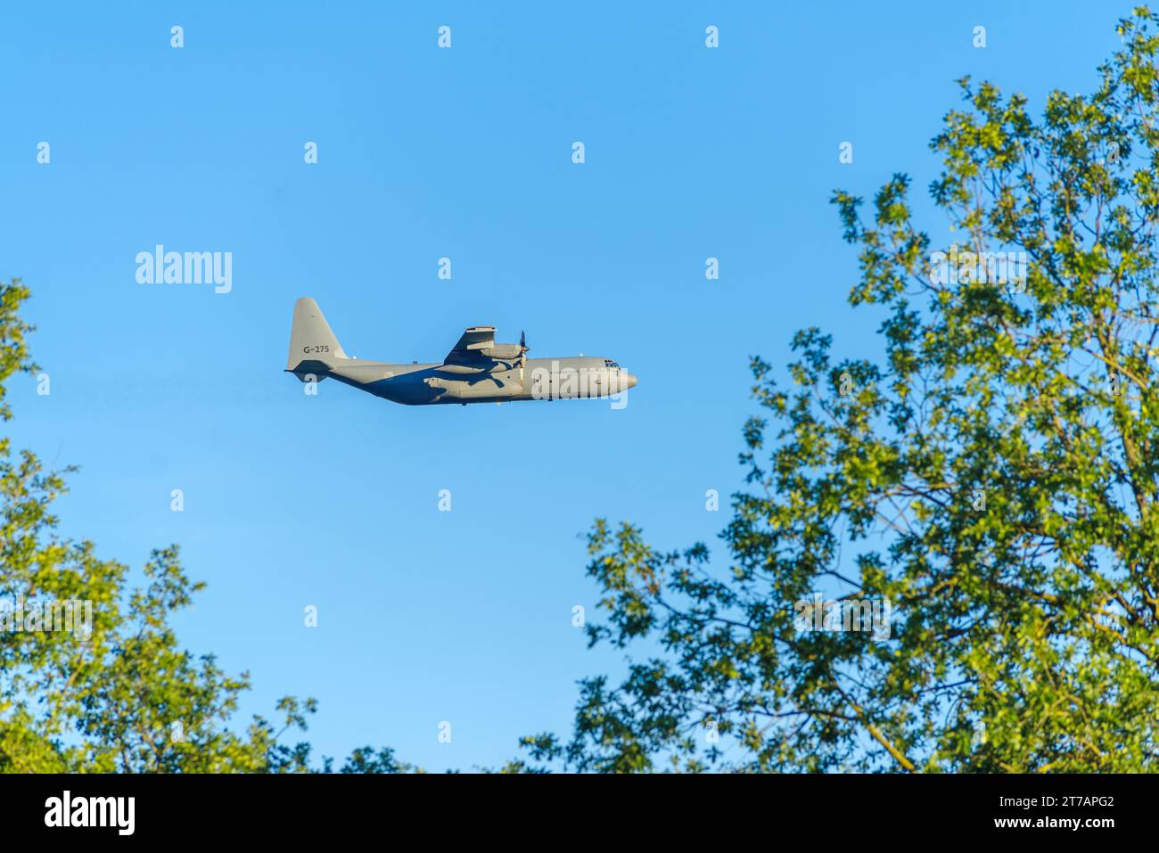 OLDENZAAL, PAESI BASSI - 6 SETTEMBRE 2023: Volo basso C-130H lockheed Martin Hercules della Royal Airforce olandese. Si tratta di un motore turboelica mil a quattro motori Foto Stock