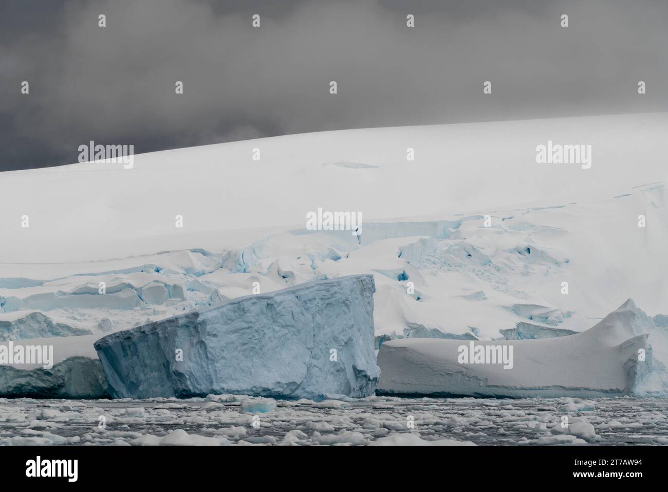 Iceberg a Curtiss Bay, Antartide. Foto Stock