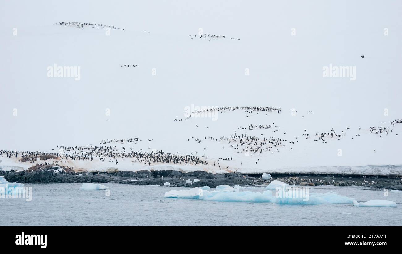 Petermann Island, l'Antartide. Foto Stock