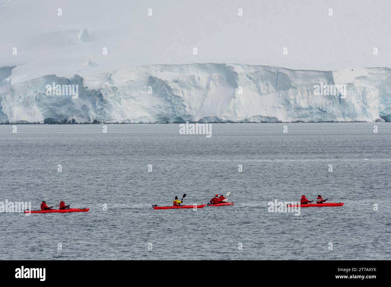 I turisti in kayak a Damoy Point, Wiencke Island, Antartide. Foto Stock