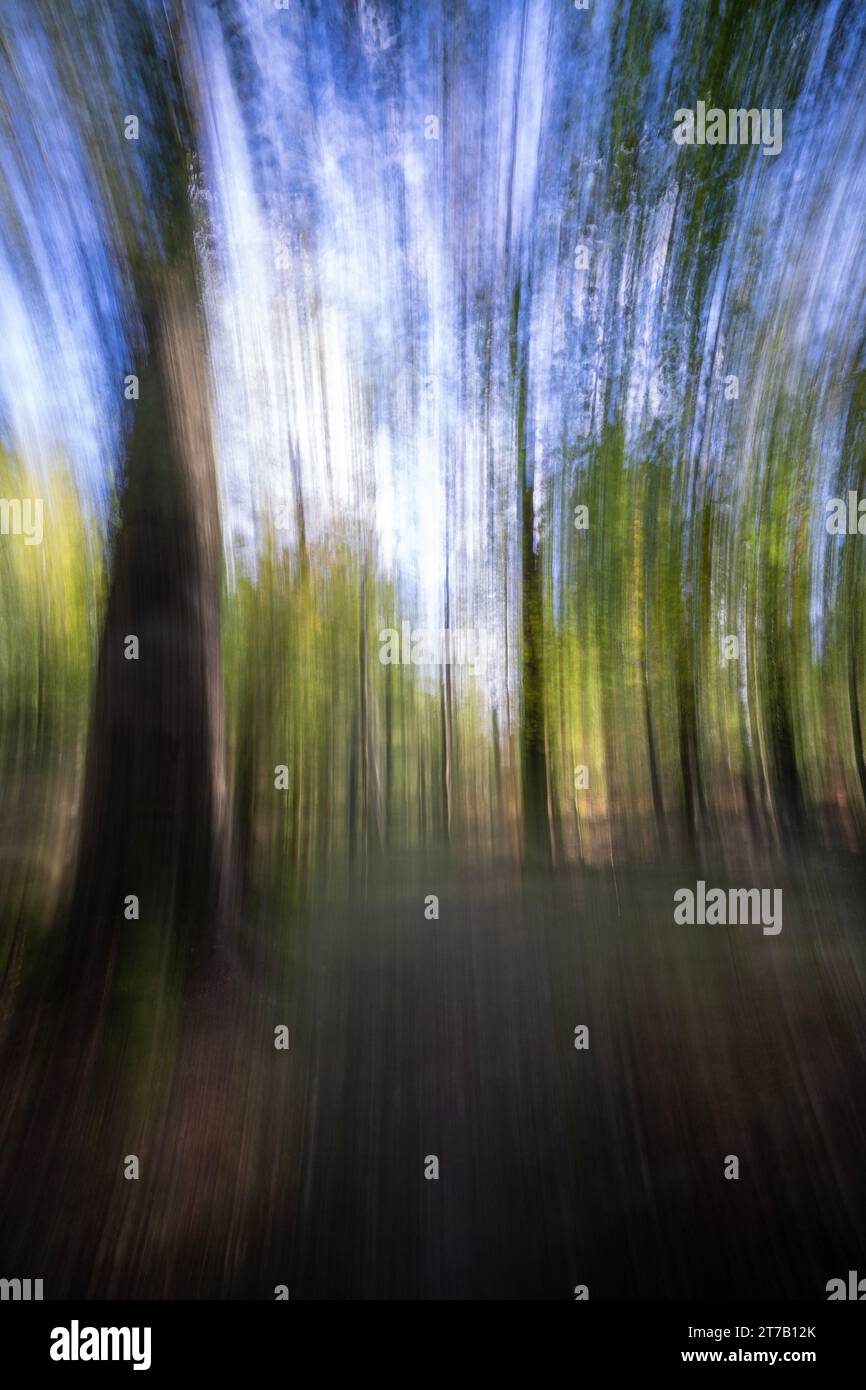 Intentional camera Movement (ICM) foto di alberi in Woodland Abstract, The New Forest National Park, Hampshire, Inghilterra, Regno Unito Foto Stock
