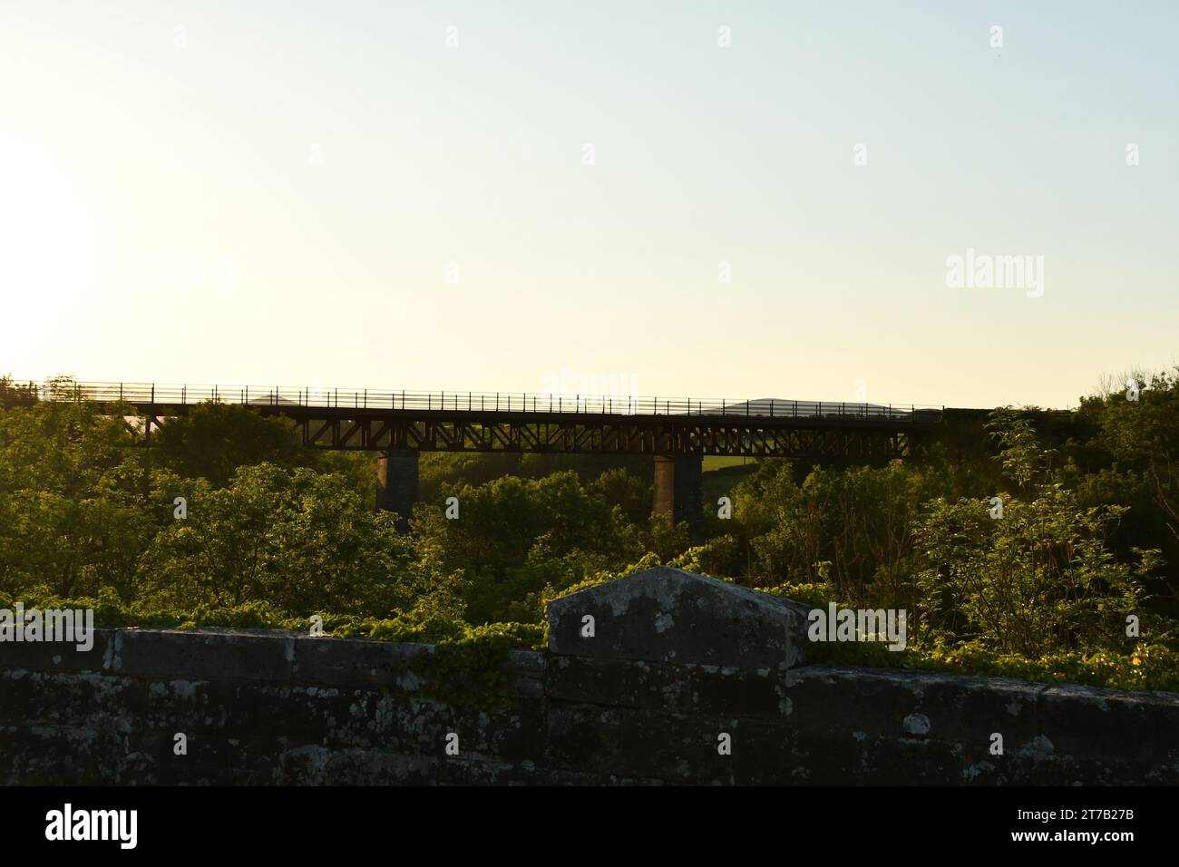 Waterford Greenway, vecchio ponte ferroviario sul fiume Foto Stock