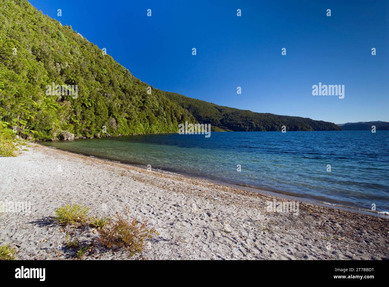 Spiaggia sabbiosa sul Lago Okataina, Rotorua, nuova Zelanda Foto Stock