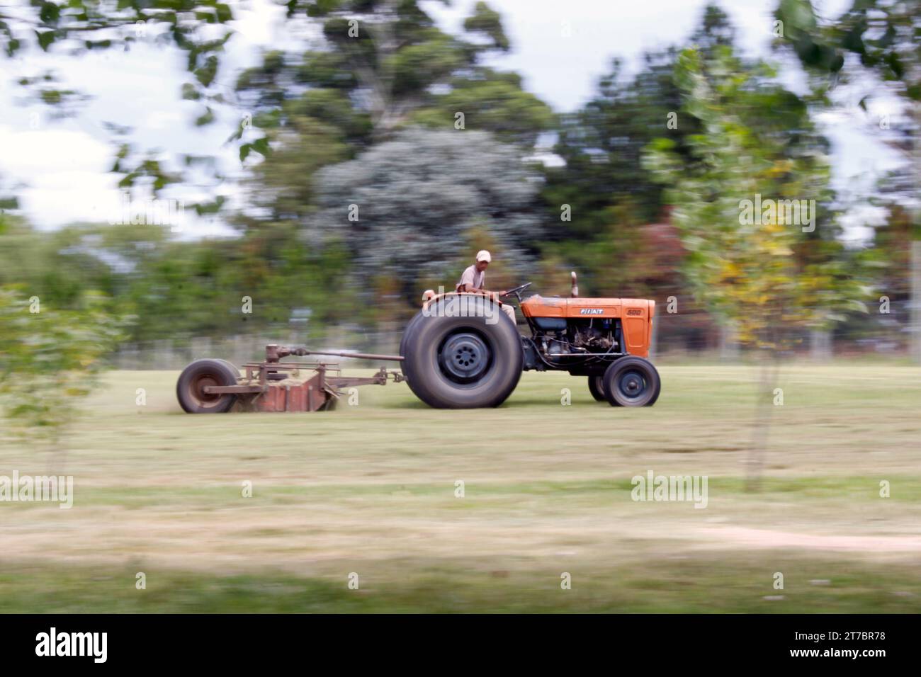 31 dicembre 2012; Buenos Aires, Argentina. Un lavoratore sul campo che taglia l'erba con un vecchio trattore Fiat. Foto Stock