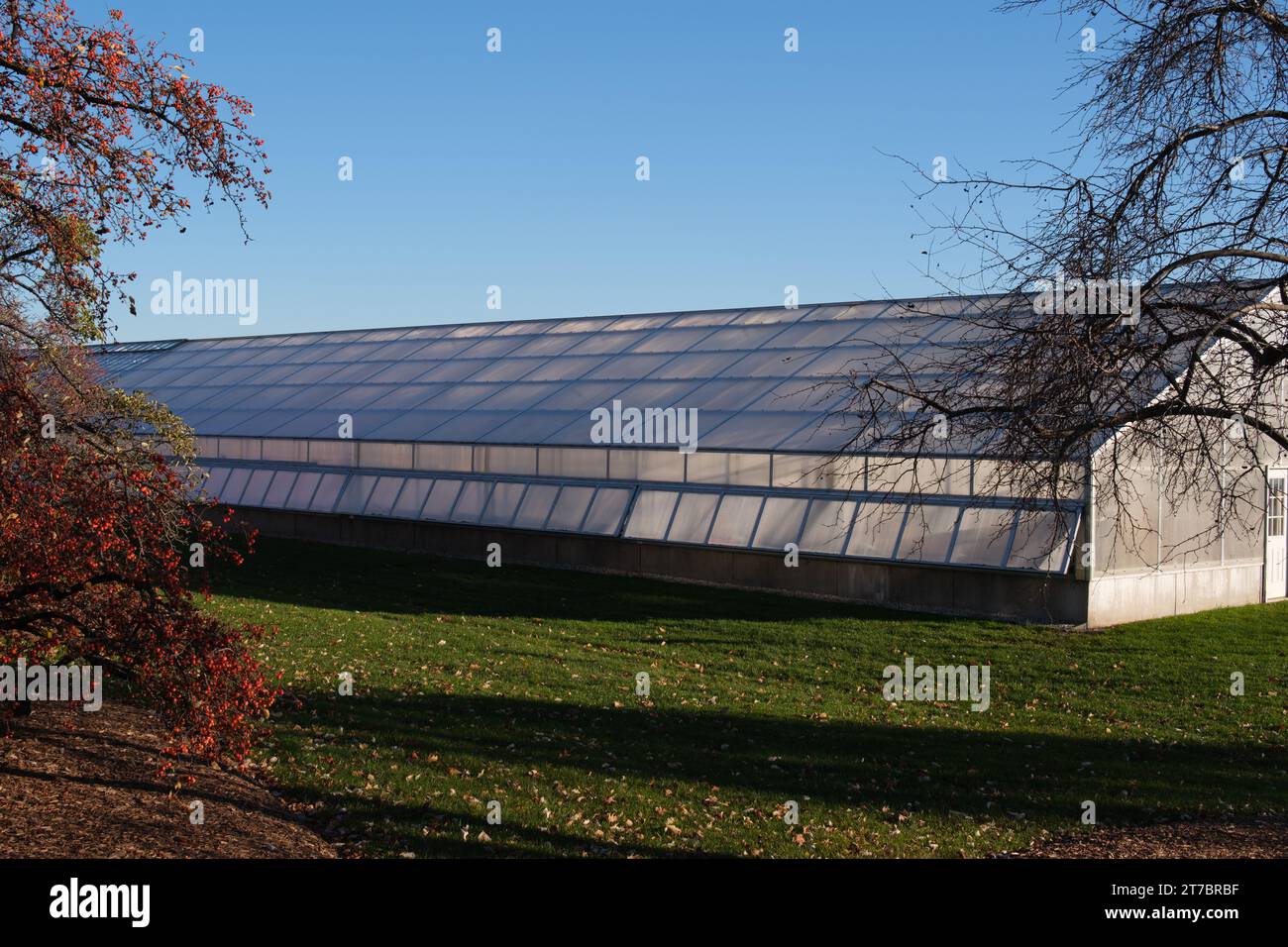Plant Science Greenhouse nel campus della Michigan State University, East Lansing Michigan USA Foto Stock
