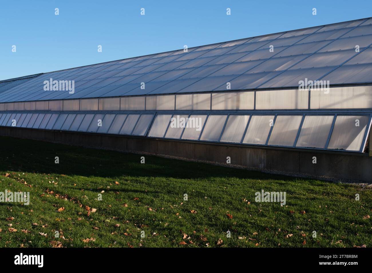 Plant Science Greenhouse nel campus della Michigan State University, East Lansing Michigan USA Foto Stock