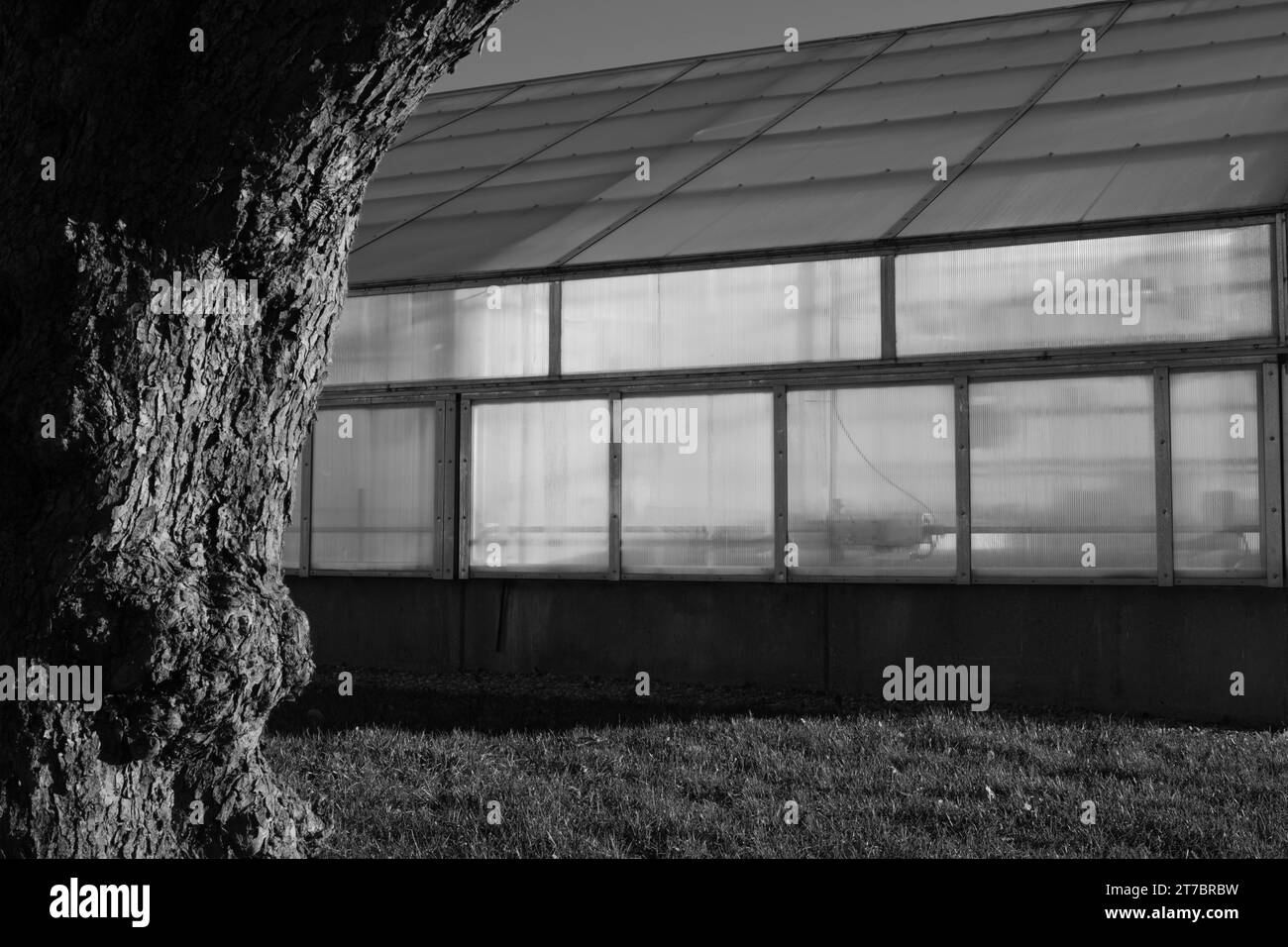 Plant Science Greenhouse nel campus della Michigan State University, East Lansing Michigan USA Foto Stock