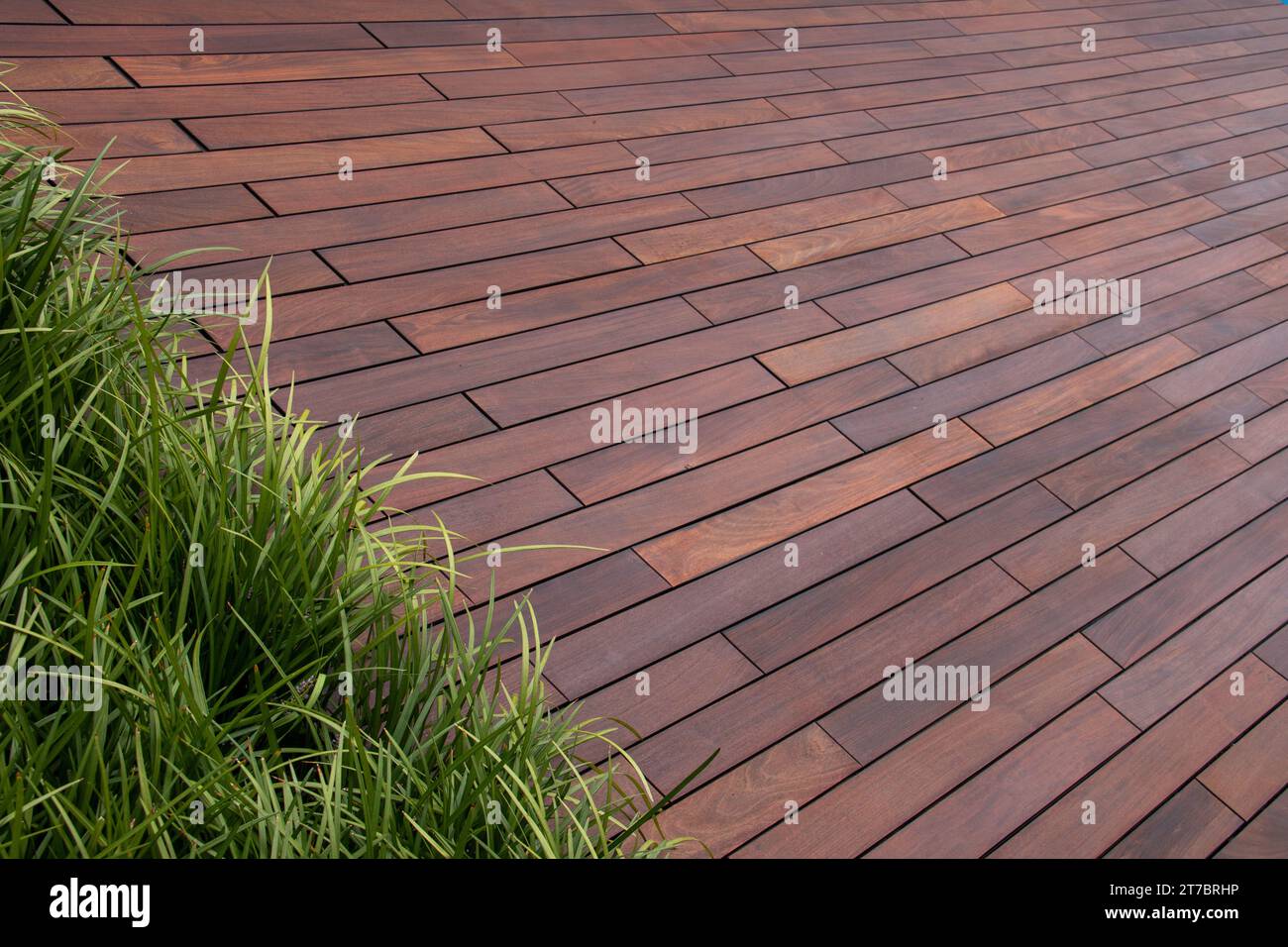 Pavimento in legno marrone e fondo in erba ornamentale sempreverde Foto Stock