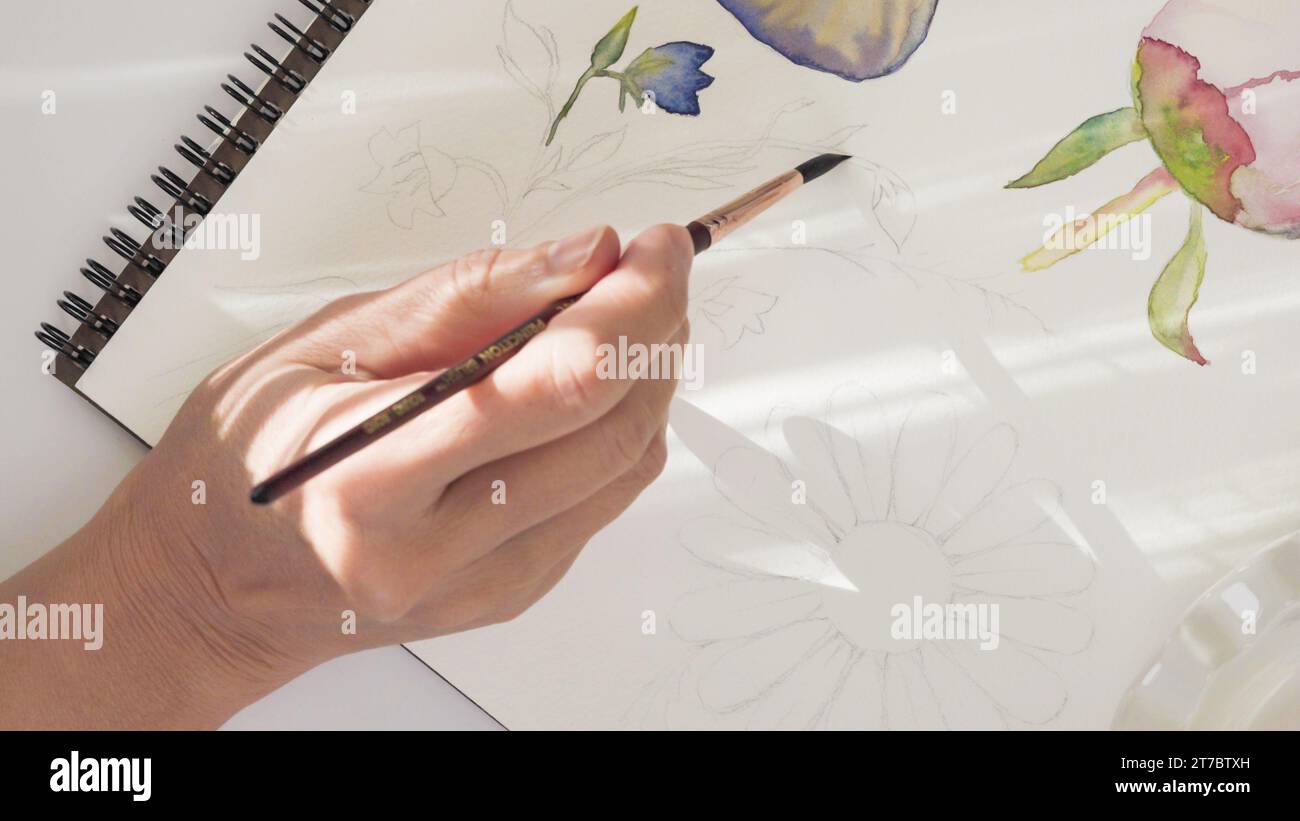 Pittura ad acquerello. La donna disegna schizzi di fiori ad acquerello. Vista ravvicinata dall'alto. Arte, imparare a disegnare, concetto di hobby Foto Stock