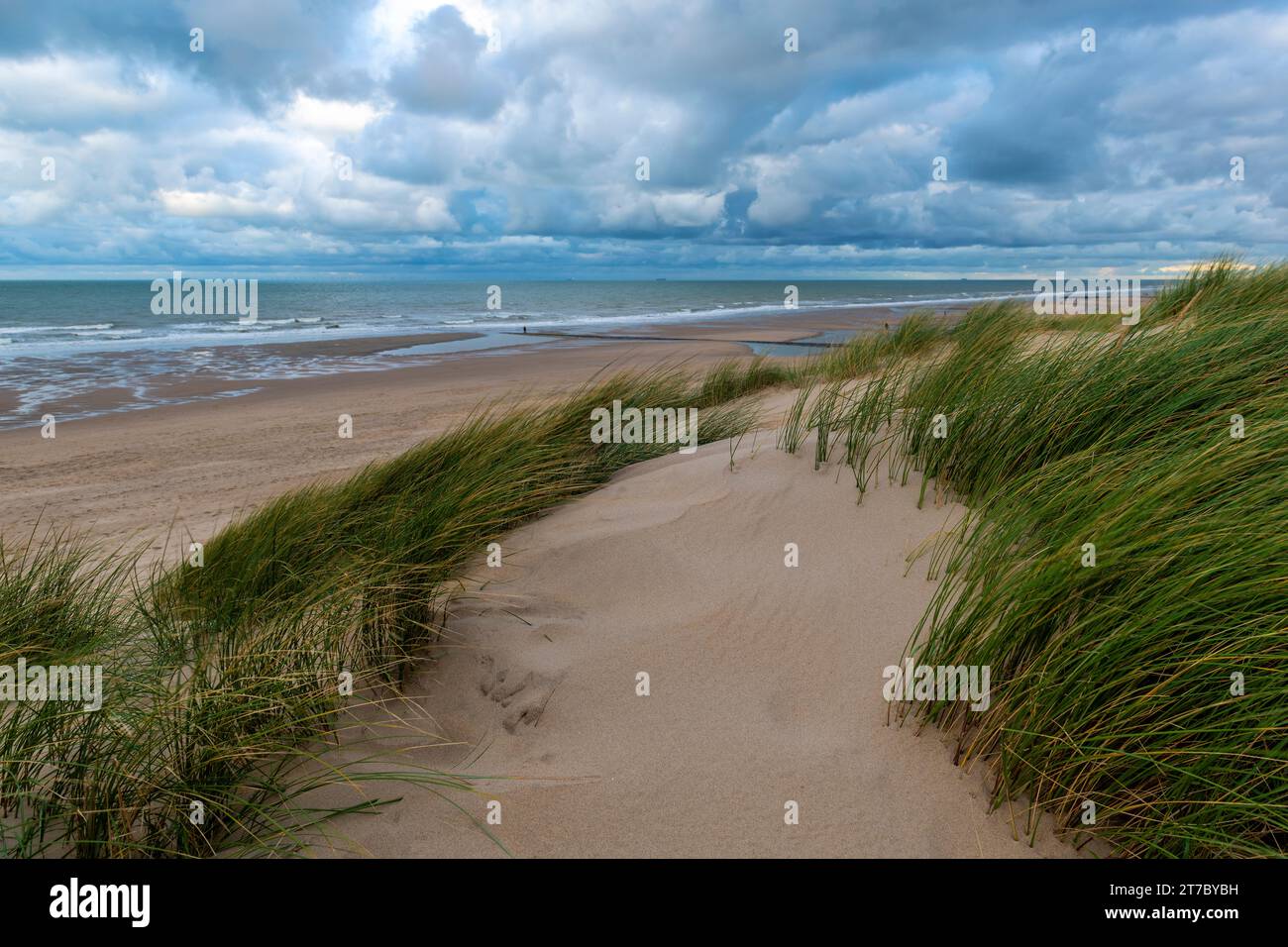 Dune di sabbia e spiaggia del Mare del Nord con cielo piovoso e suggestivo, Fiandre occidentali, Belgio. Foto Stock