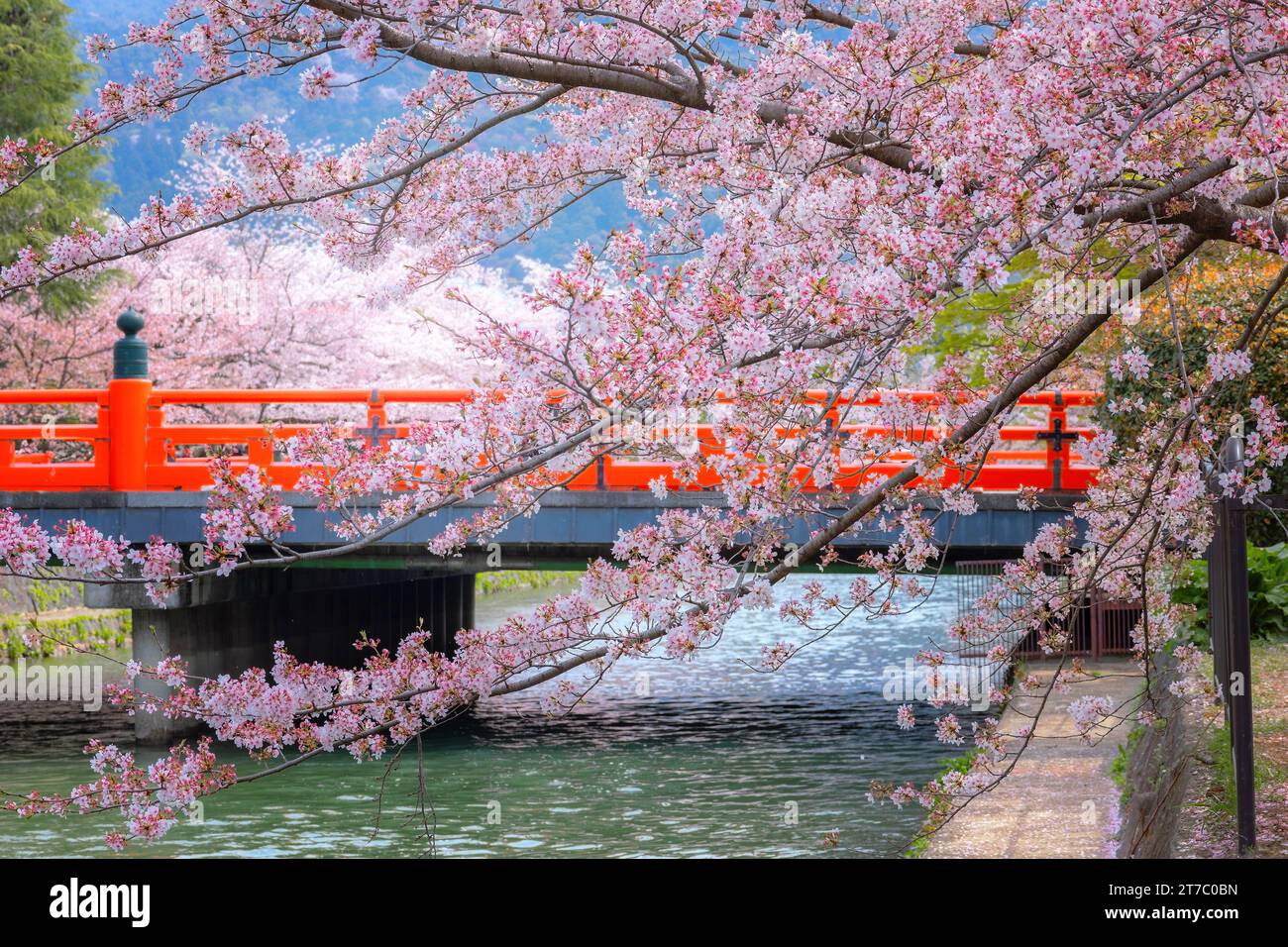 Kyoto, Giappone - 2 aprile 2023: Il giro in barca Okazaki Jikkokubune effettua una crociera di tre chilometri dal molo delle barche di Nanzenji alla diga di Ebisu e ritorno Foto Stock