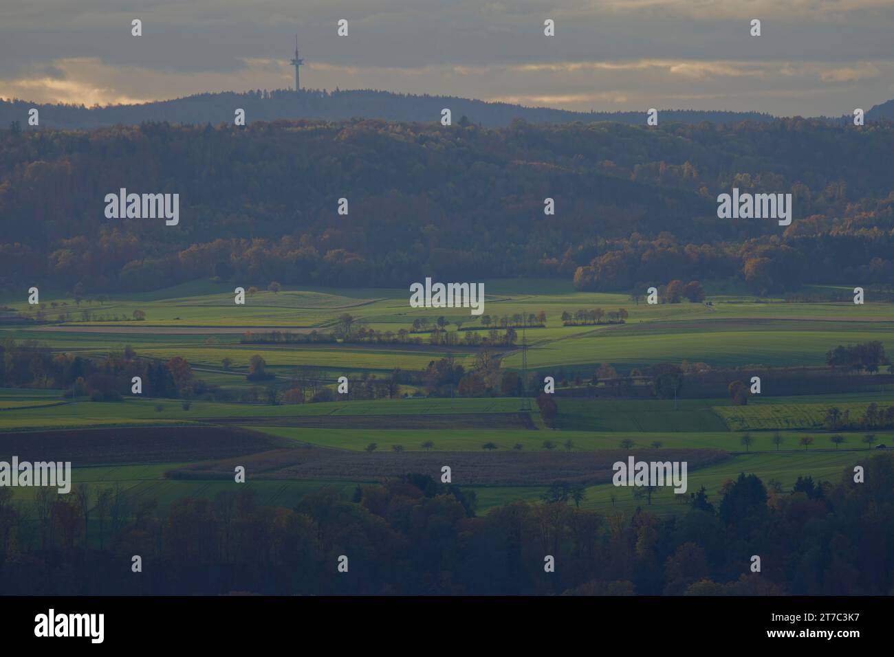 Ammira da Einkorn la pianura della sala e la torre radio vicino a Grab, Grosserlach-Grab, Mainhardter Wald, Schwaebisch-Franconian Wald Nature Park Foto Stock