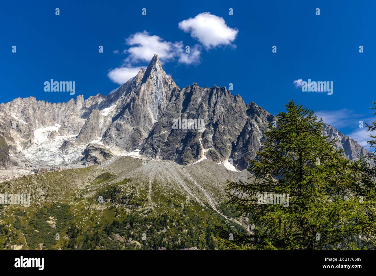 Cima rocciosa e parete del Petit Dru vista dal punto panoramico di Montenvers Mer de Glace. Aiguille du Dru, les Drus, valle di Chamonix, Alpi francesi, Francia Foto Stock