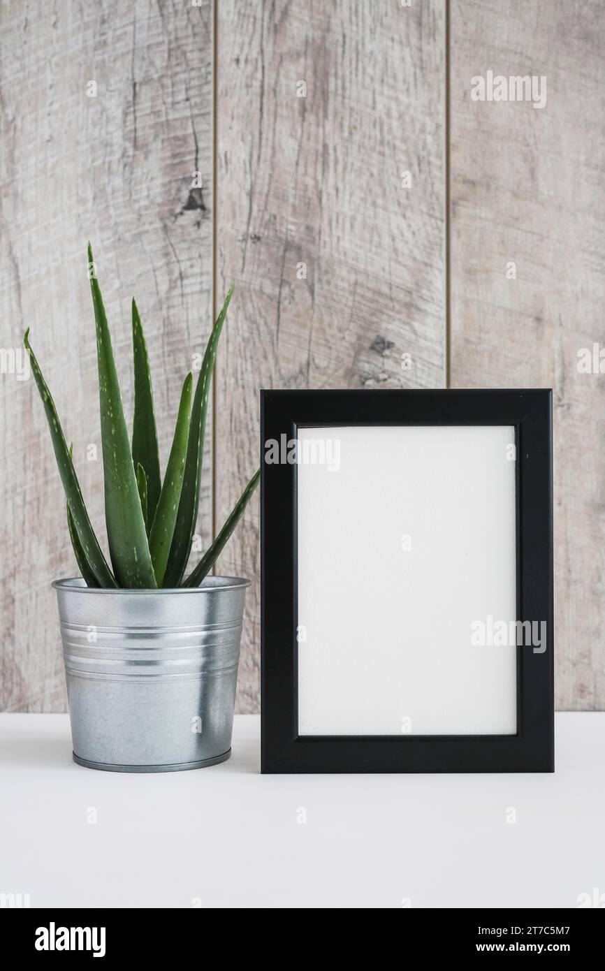 Contenitore in alluminio Aloe vera con cornice bianca contro parete in legno Foto Stock