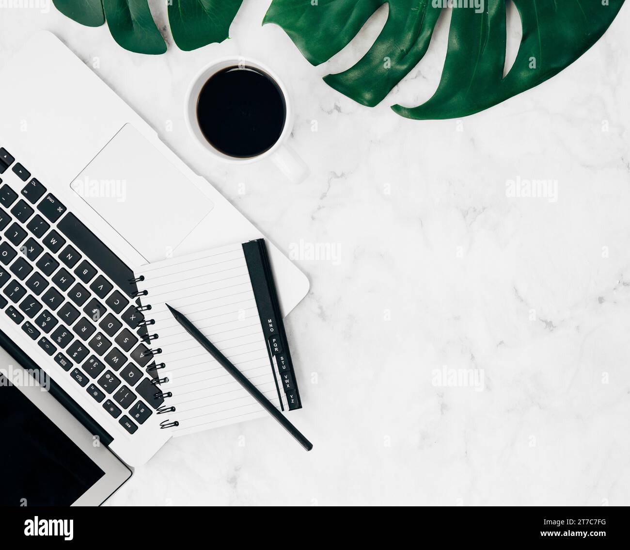 Diario con vista dall'alto matita per computer portatile tazza da caffè con foglie monstera sfondo in marmo Foto Stock