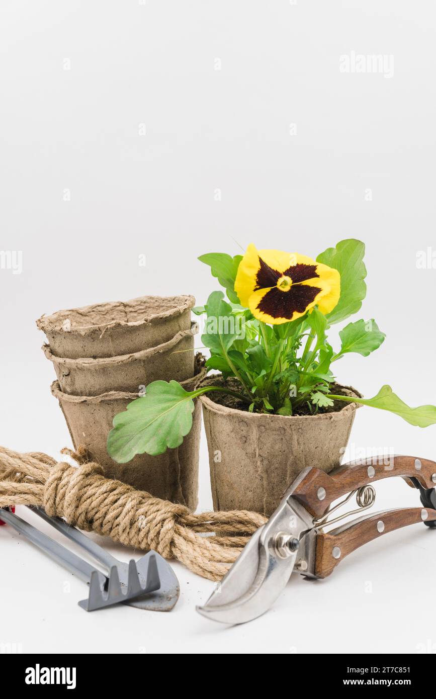 Vasi di torba impilati strumenti per giardinaggio a corda forbici sfondo bianco isolato Foto Stock