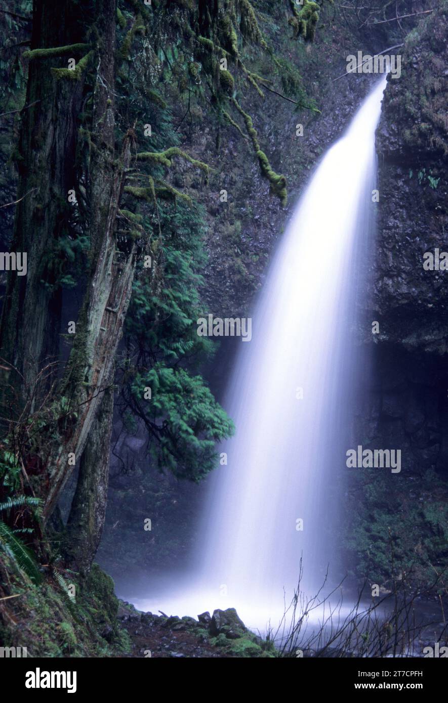 Tomaia Latourell Falls, Talbot parco statale, Columbia River Gorge National Scenic Area, Oregon Foto Stock