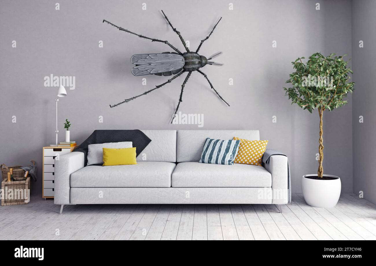 la zanzara sul muro nella stanza Foto Stock