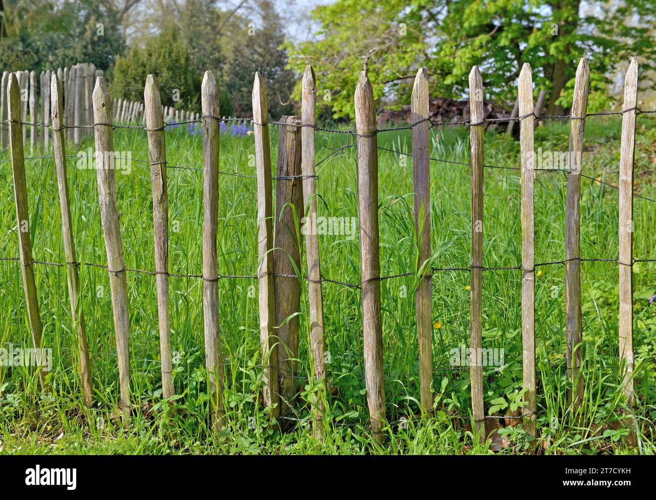 recinzione in pali di legno naturale che proteggono una parte di erba in un giardino Foto Stock