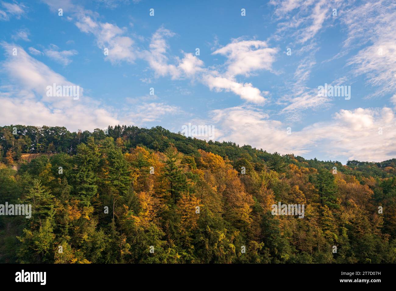 "Grand Canyon of the East", Letchworth State Park nello stato di New York Foto Stock