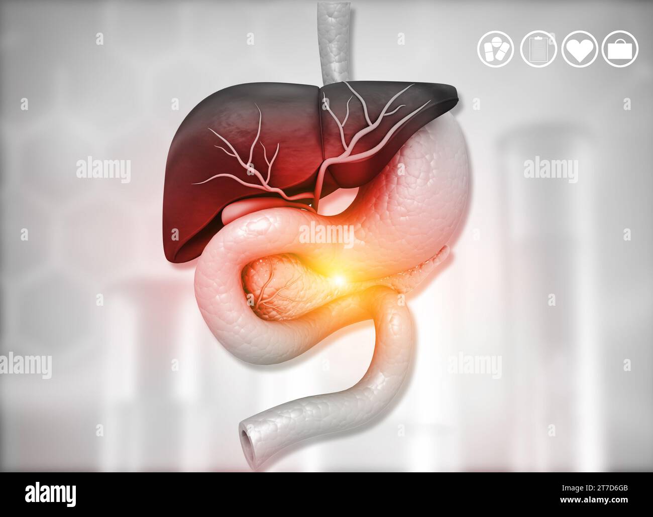 Corpo umano con sistema digestivo su sfondo medico. illustrazione 3d. Foto Stock