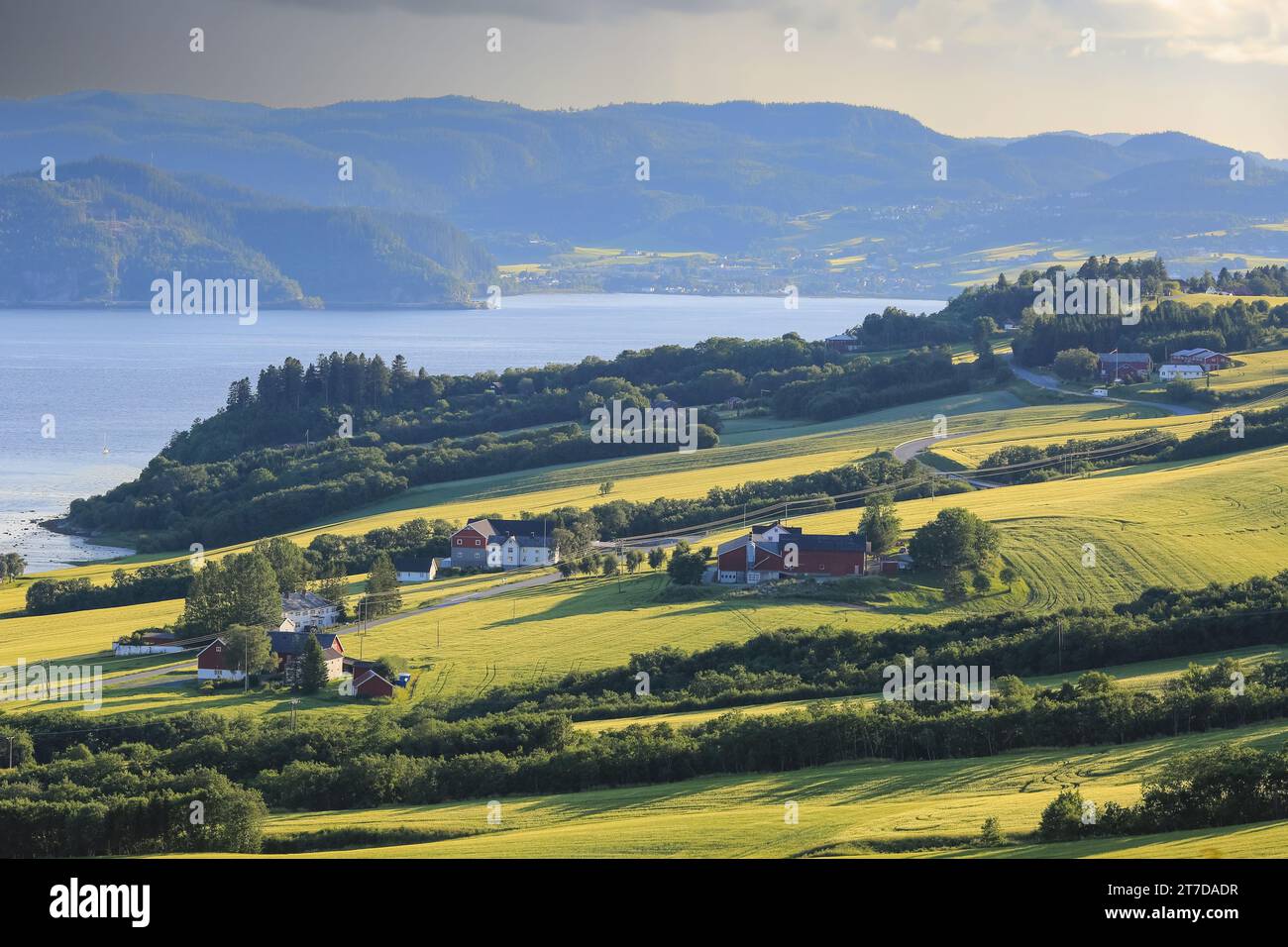 Vista aerea dell'area agricola Byneset e del fiordo di Trondheim vicino alla città norvegese di Trondheim Foto Stock