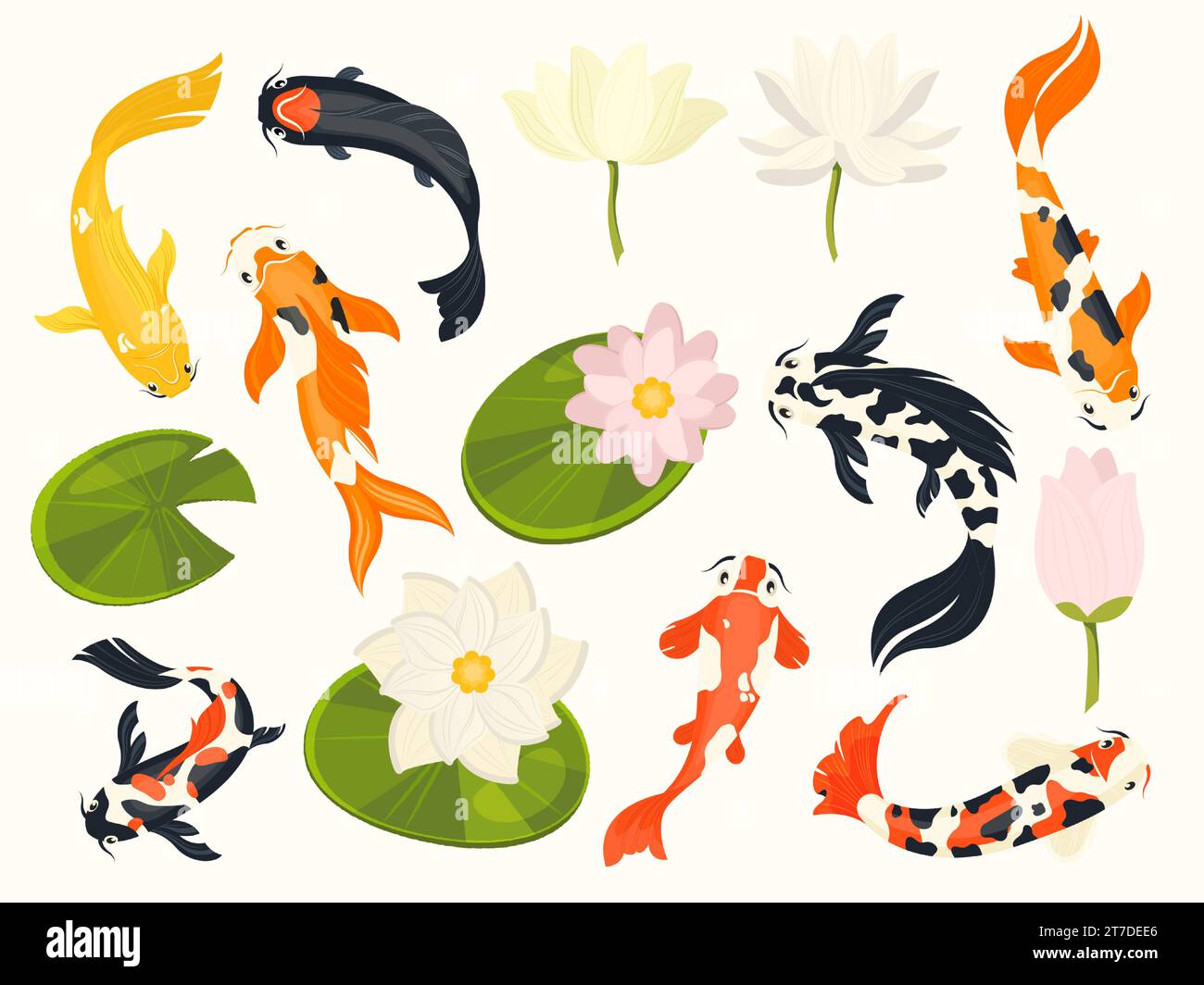 Pesce Koi e loto. Esotici animali acquatici asiatici che nuotano nel laghetto dei fiori di loto, tradizionali simboli buddisti cinesi. Insieme isolato dal vettore Illustrazione Vettoriale