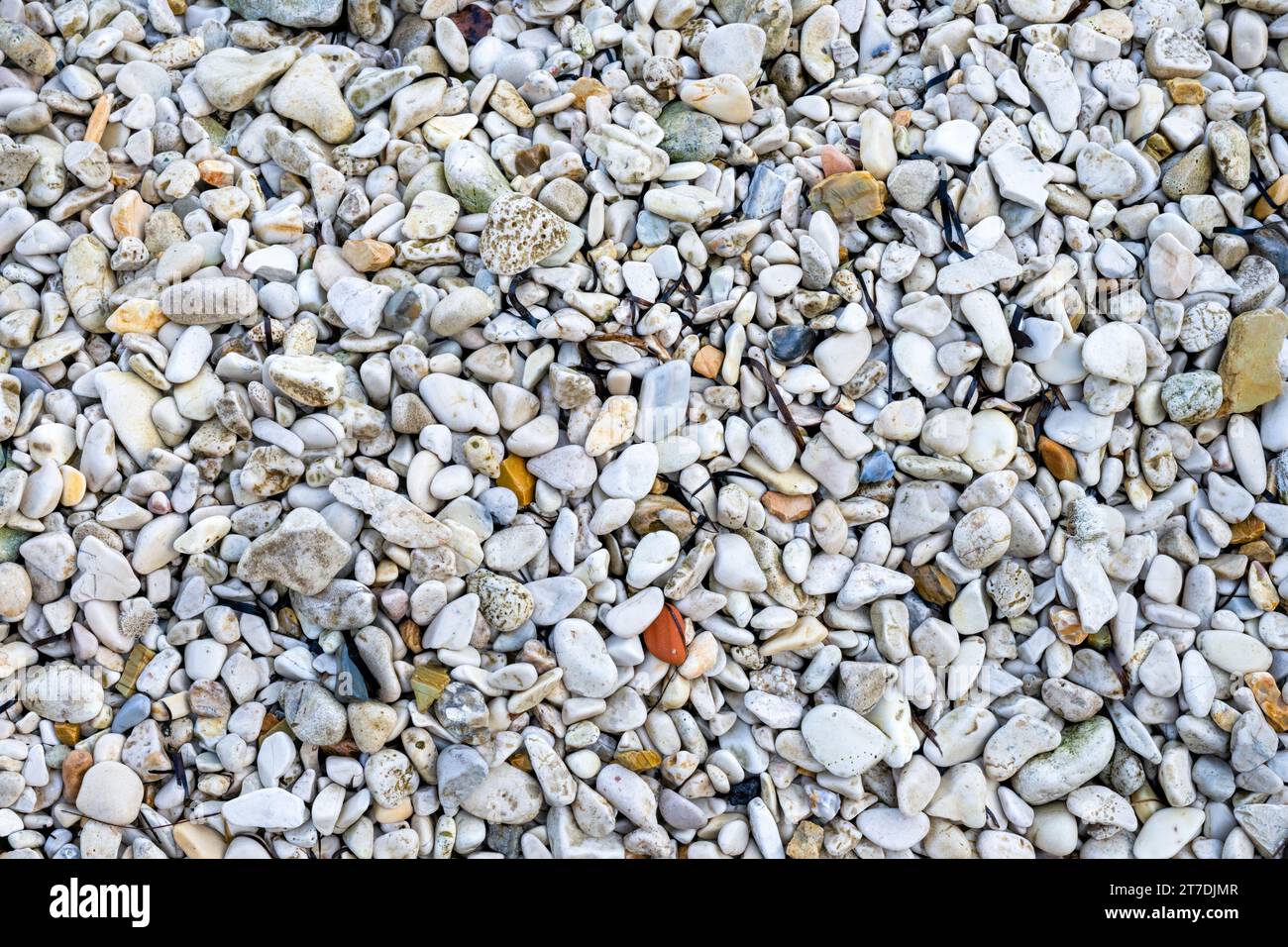 Una spiaggia di ciottoli a Corfù, Grecia Foto Stock
