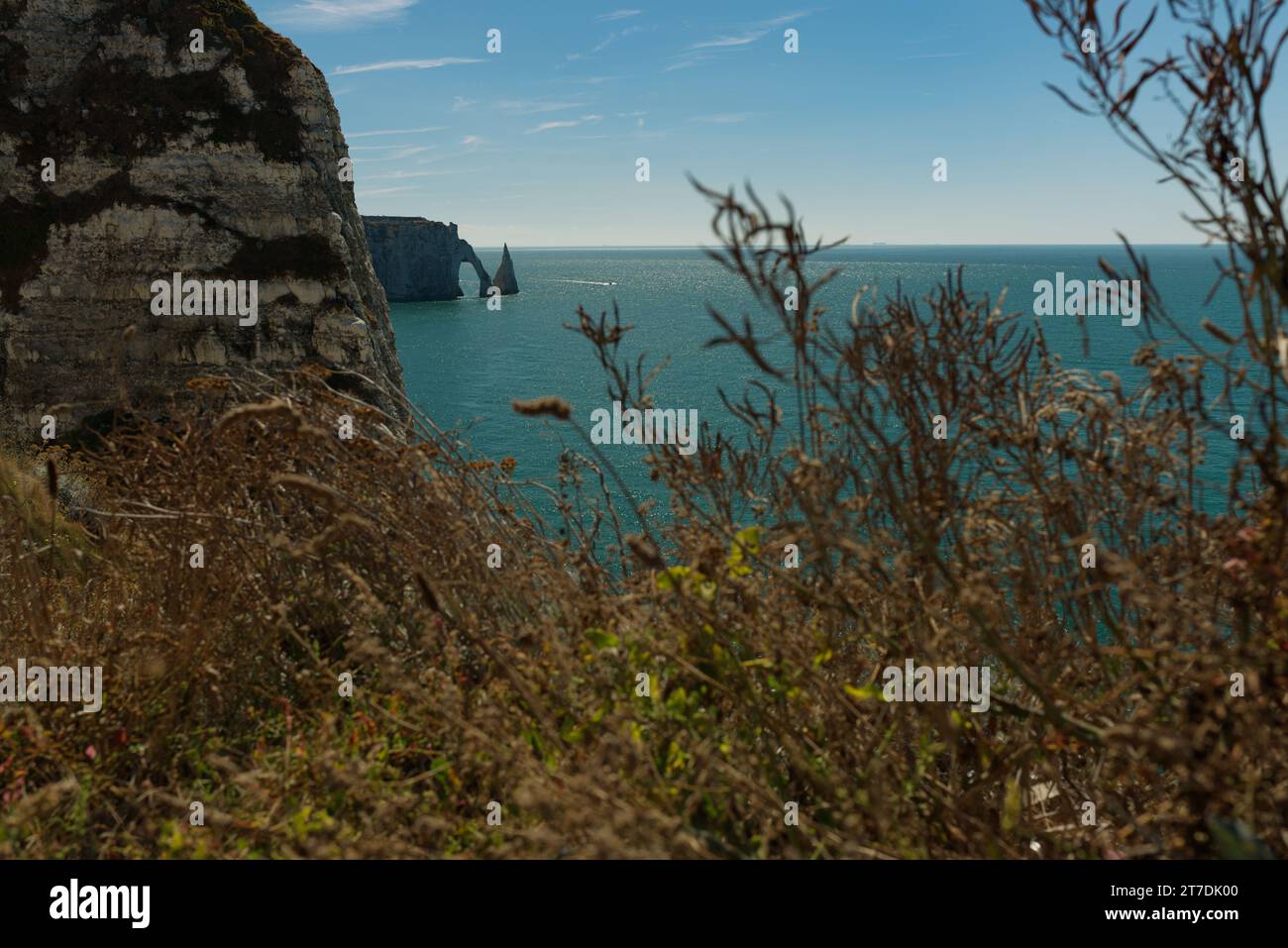 Étretat, panorama sul mare. Scogliere di gesso, mare e archi naturali. Riprese con Sigma Art 35mm, Nikon. Foto Stock