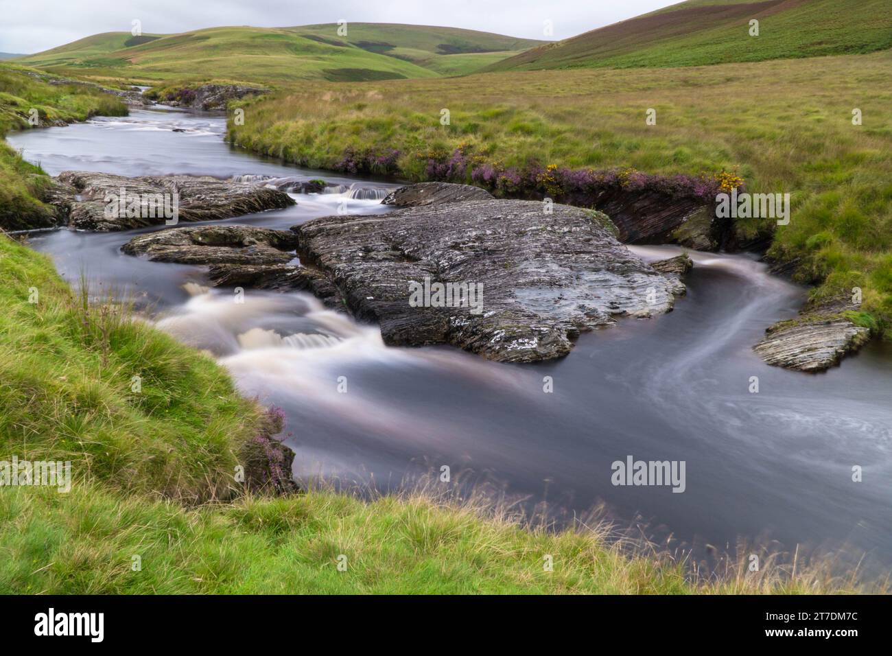 L'Afon Elan che scorre verso il bacino idrico di Craig Goch nella Elan Valley, Galles, Regno Unito. Agosto 2023 Foto Stock