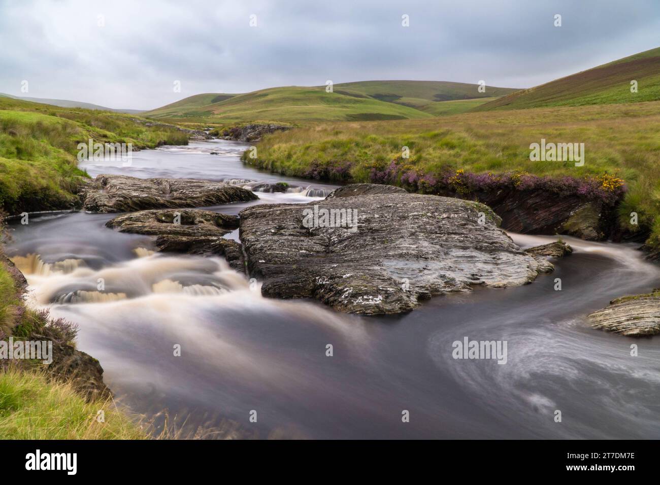 L'Afon Elan che scorre verso il bacino idrico di Craig Goch nella Elan Valley, Galles, Regno Unito. Agosto 2023 Foto Stock