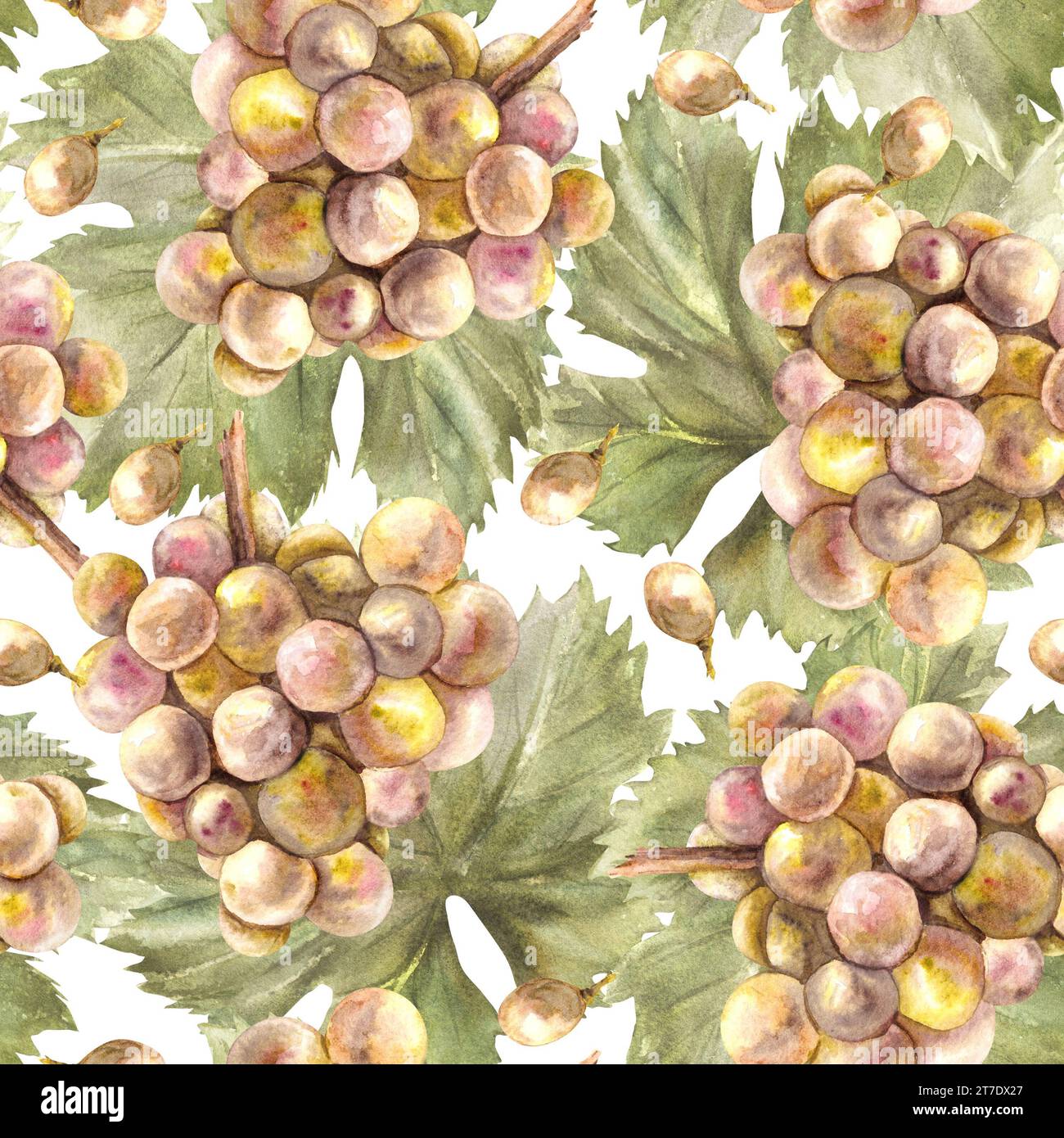 Motivo ad acquerello senza cuciture. Grappolo di uva gialla verde, foglie e bacca d'uva. Grapevine dipinto a mano. Carta da imballaggio, etichette, stampa di tessuti Foto Stock