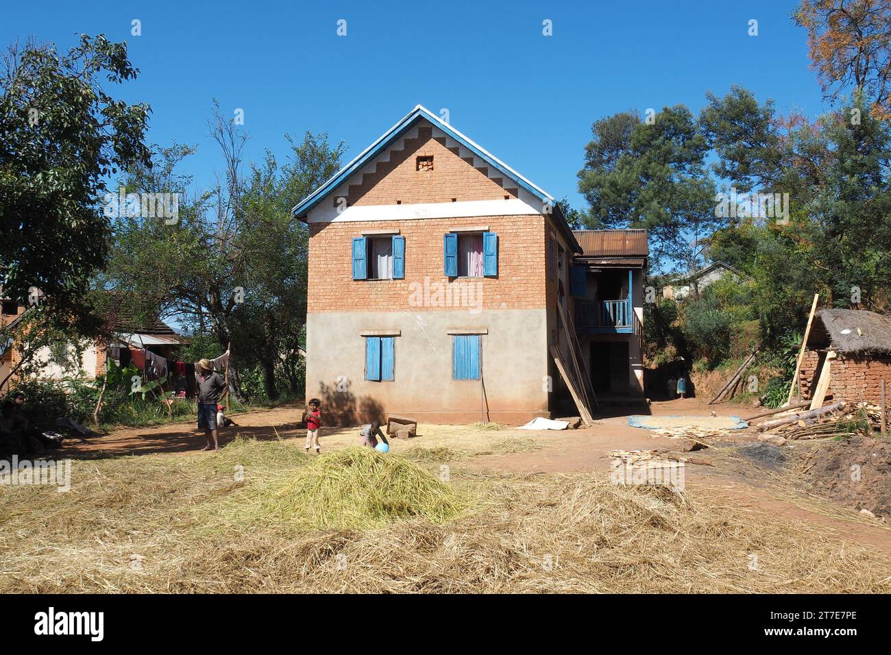 Madagascar, Antsirabe, Village sur la RN7, maison traditionnelle et séchage du riz Foto Stock