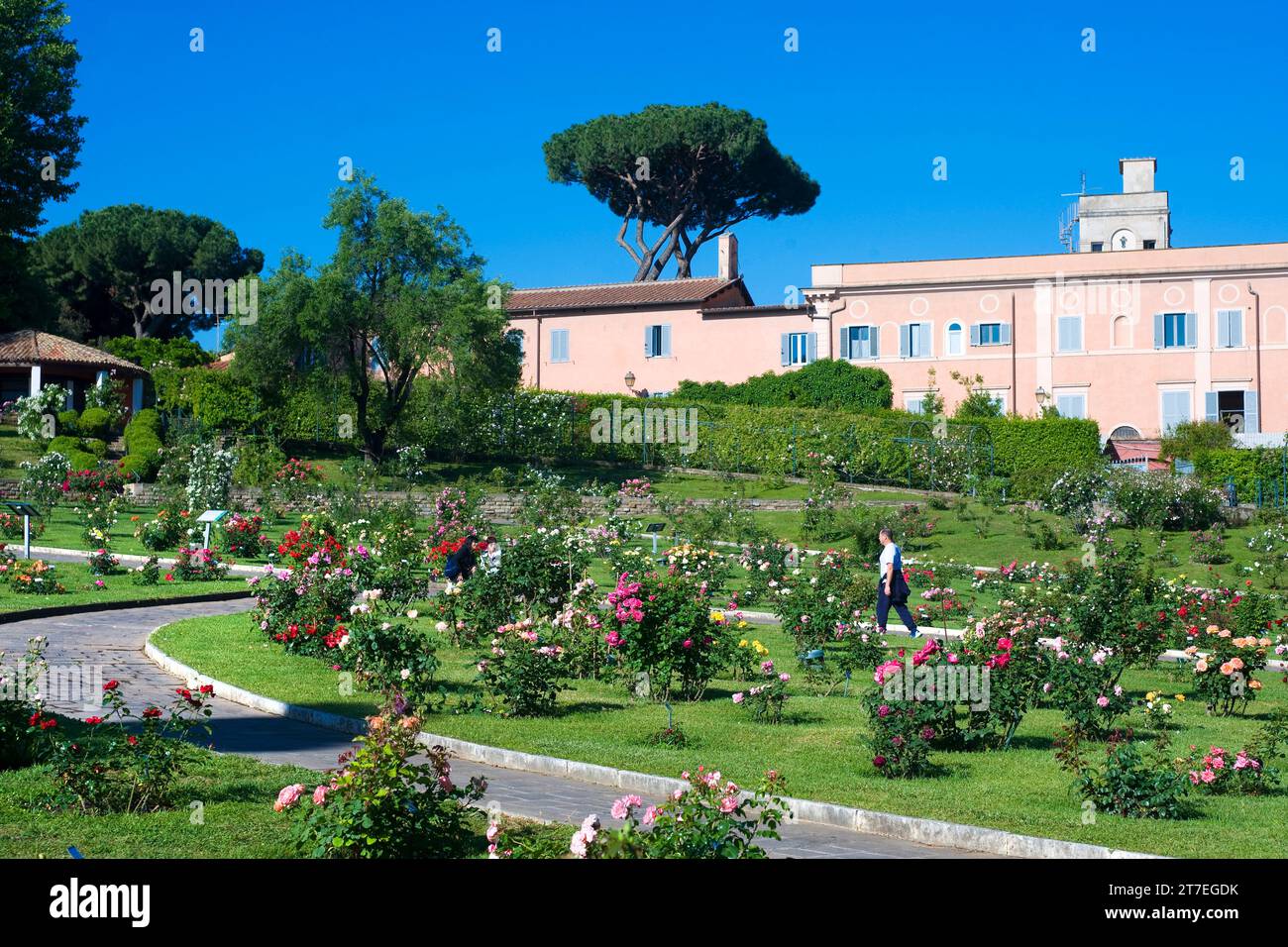 Giardino municipale delle rose. Roma. Lazio. Italia Foto Stock