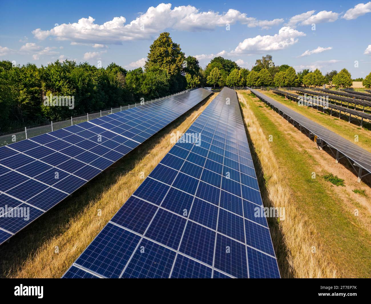 File di collettori solari e pannelli solari di una centrale solare in un parco solare in un campo agricolo vicino a Sonne, Germania Foto Stock