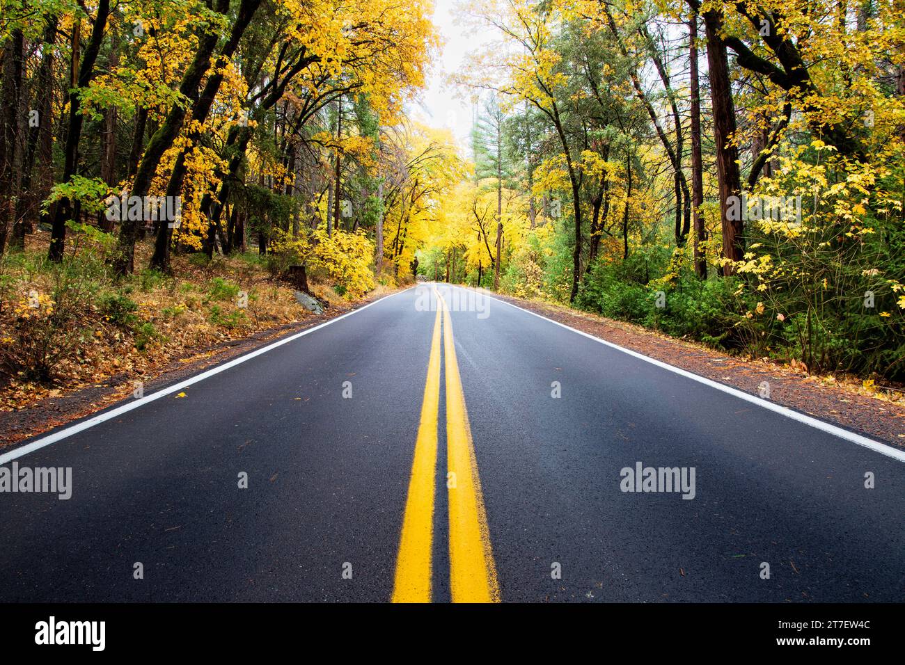 California State Route 32 lungo Deer Creek nella contea di Tehama, California, USA in autunno. Foto Stock