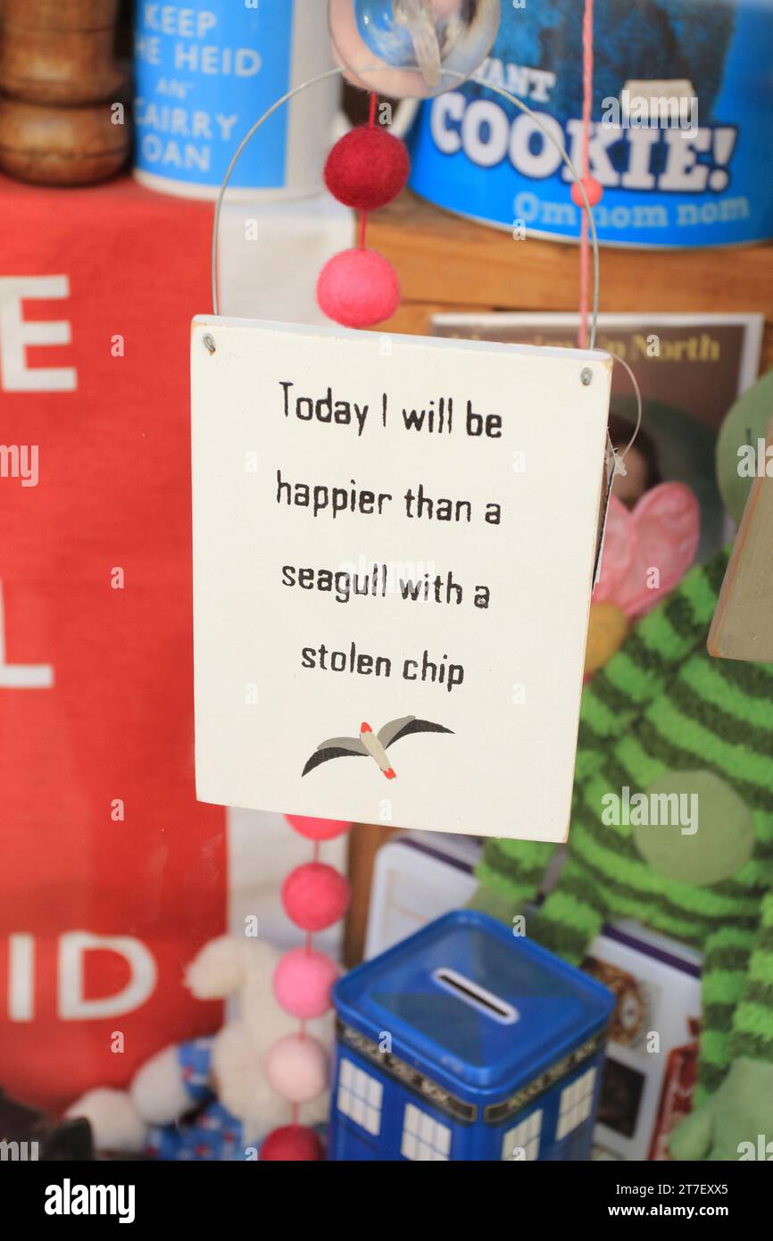 un cartello di legno nella vetrina di un negozio che dice che oggi sarò più felice di un gabbiano con un chip rubato Foto Stock