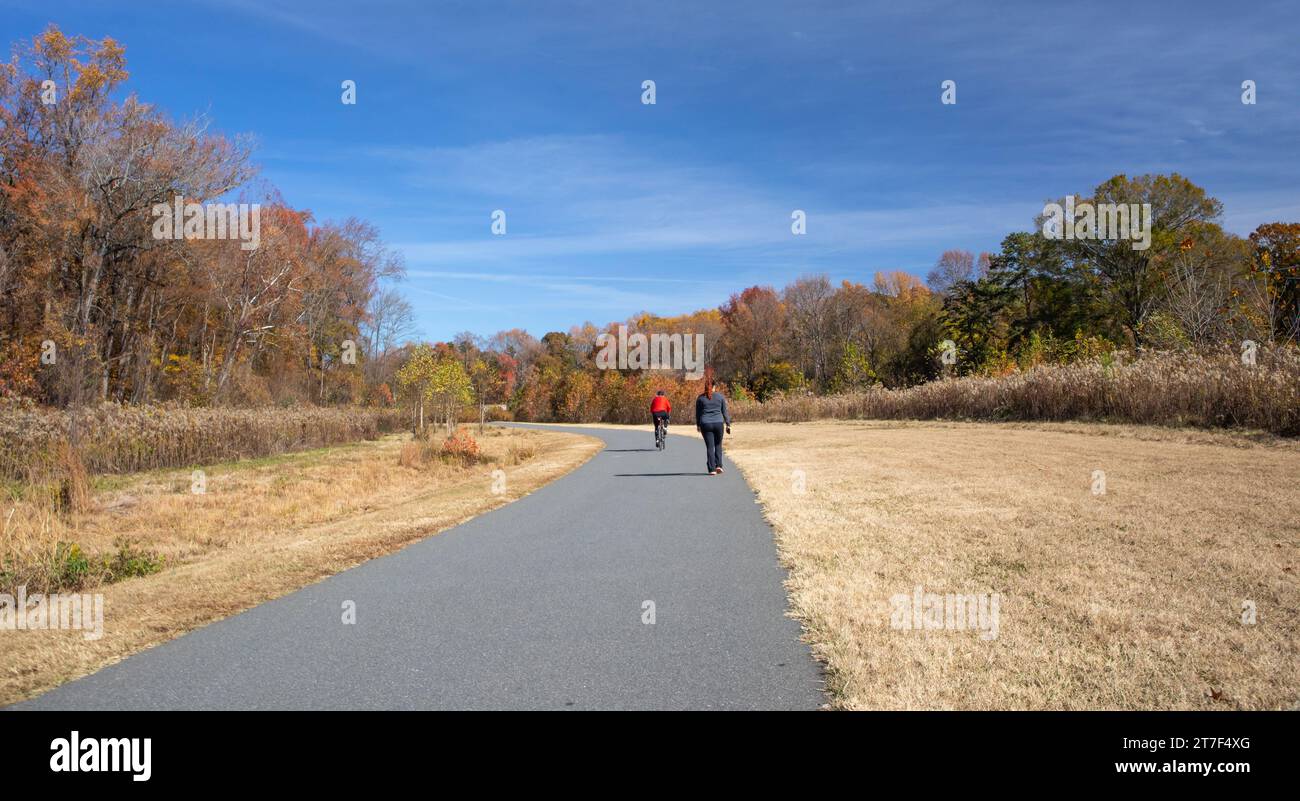 Una bicicletta e un camminatore su una passerella pavimentata in una soleggiata giornata autunnale con cielo blu. Foto Stock