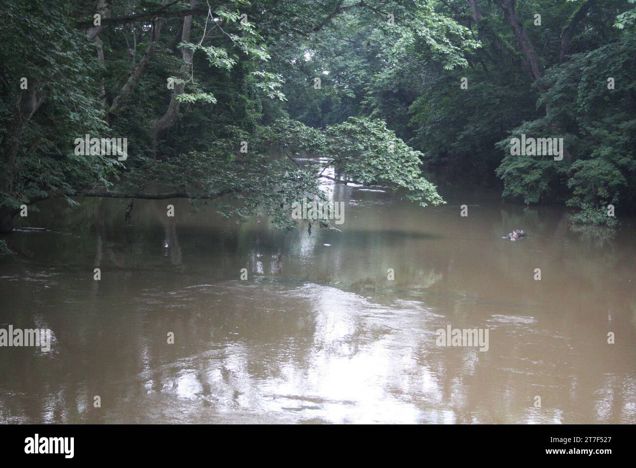 Osun Grove a Oshogbo, nello stato di Osun. Nigeria sud-occidentale. Foto Stock