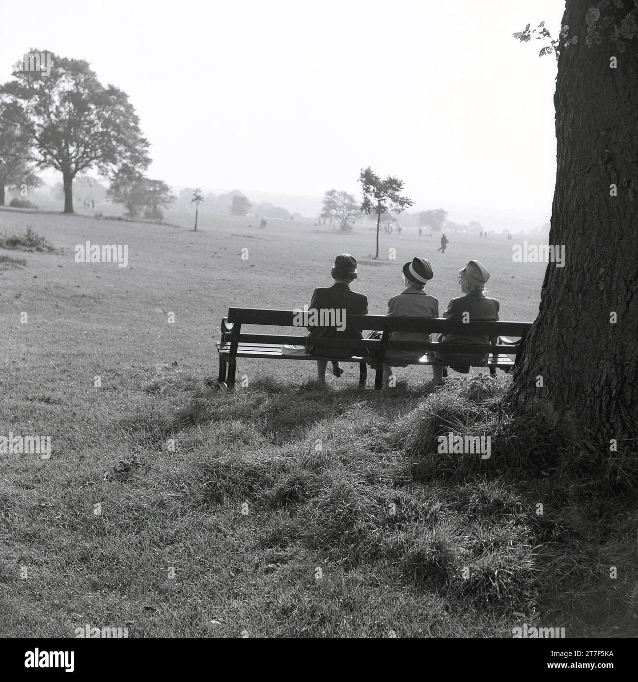 Anni '1960, tre signore anziane in cappotti e cappelli sedute l'una accanto all'altra su una panchina in un parco, affacciate sul paesaggio circostante, Inghilterra, Regno Unito. Foto Stock