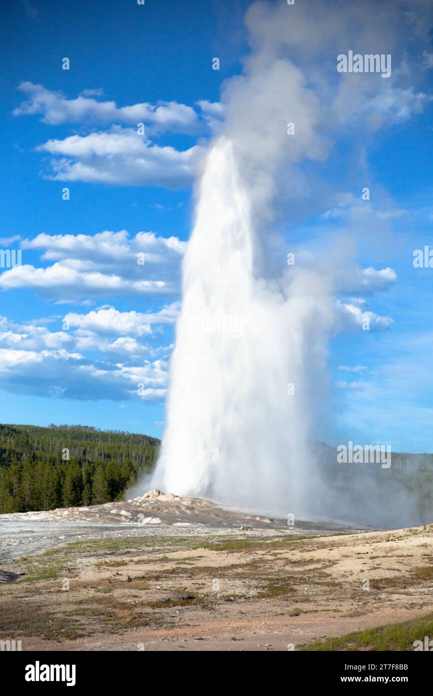 Il vecchio geyser fedele eruttante nel parco nazionale di Yellowstone Foto Stock